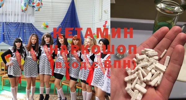 прущие грибы Абаза