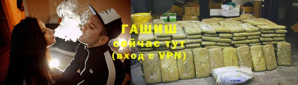 прущие грибы Абаза