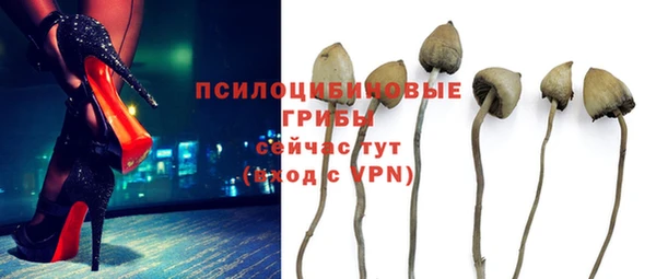 PSILOCYBIN Абинск