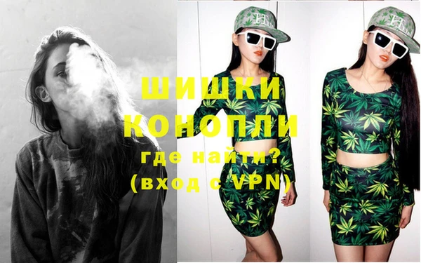 прущие грибы Абаза