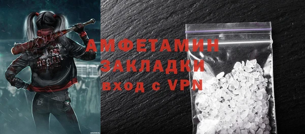 прущие грибы Абаза