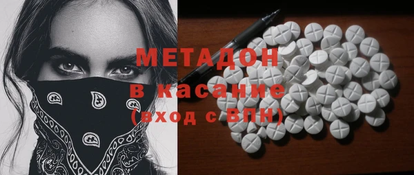 прущие грибы Абаза