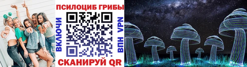 Псилоцибиновые грибы Psilocybine cubensis  Ирбит 